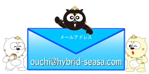 メールアドレス